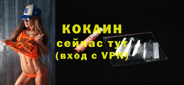 скорость Каменка