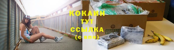 молекула духа Каменногорск