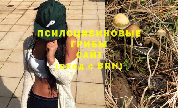 молекула духа Каменногорск