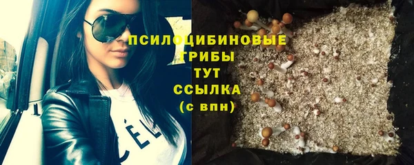 скорость Каменка