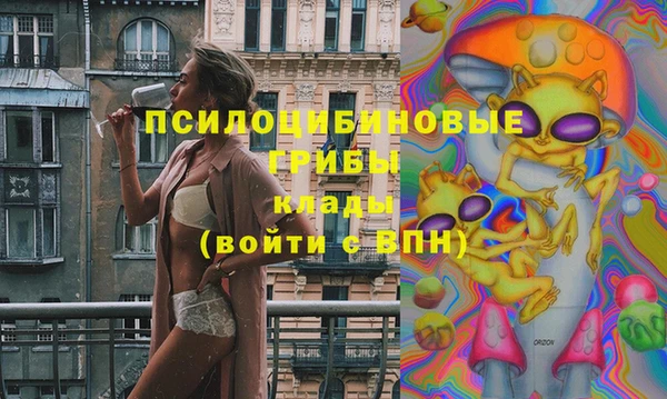 молекула духа Каменногорск