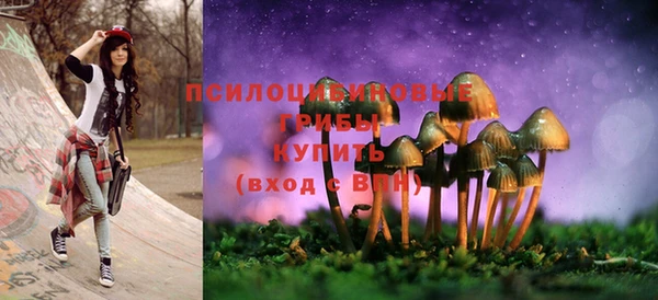 молекула духа Каменногорск
