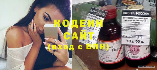скорость Каменка