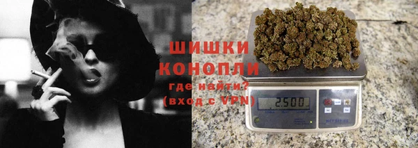 скорость Каменка