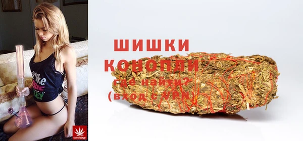 скорость Каменка