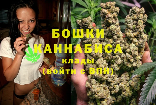 молекула духа Каменногорск