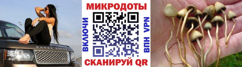 Галлюциногенные грибы прущие грибы  Купить где  Каспийск 