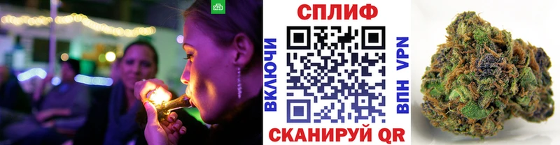 Купить где  Каспийск  Конопля гибрид 